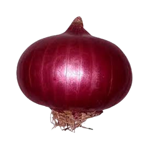 Onion